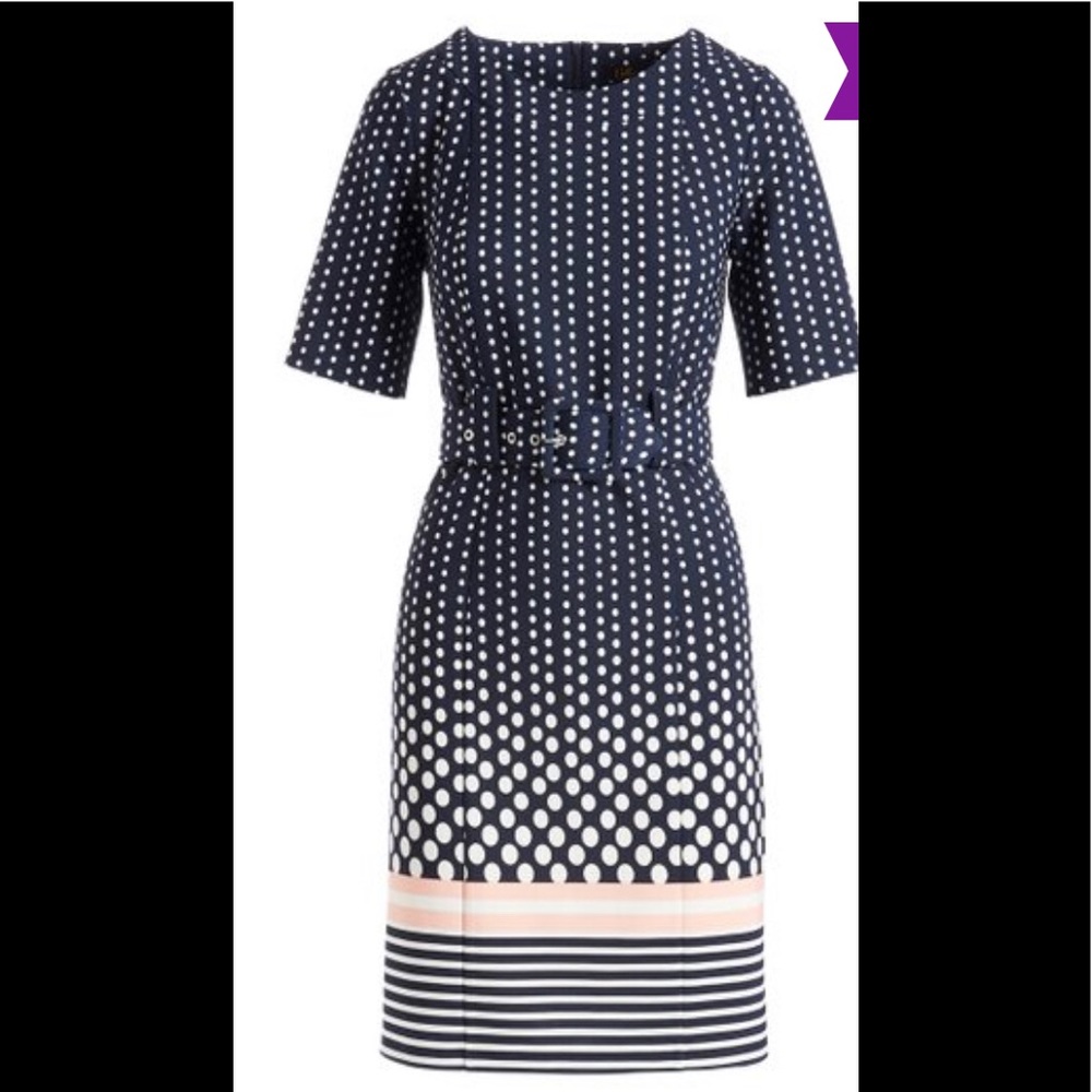 Plus size Navy & Blush A-line work dress